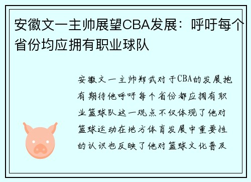 安徽文一主帅展望CBA发展：呼吁每个省份均应拥有职业球队