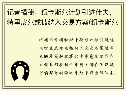 记者揭秘：纽卡斯尔计划引进佳夫，特里皮尔或被纳入交易方案(纽卡斯尔pr)